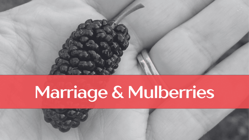 how to navigate relationship differences