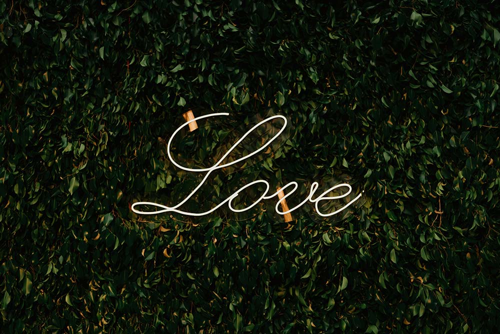 neon love sign on a wall of green leaves.